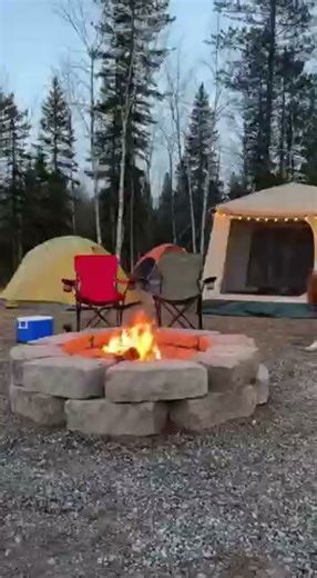 7.3K views | Campfire Calm Turns to Chaos After Campers Mistake Dog...