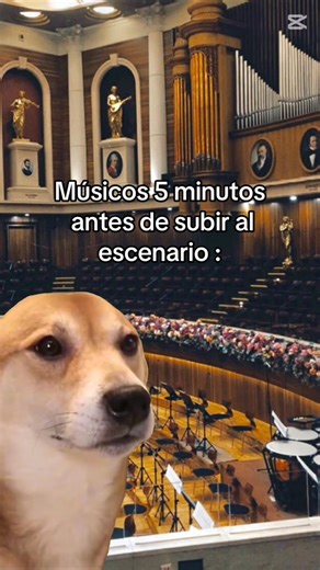 #cosasdemusicos #humormusical #orquesta #sieresmusico #musicosdetiktok | E GLEZ