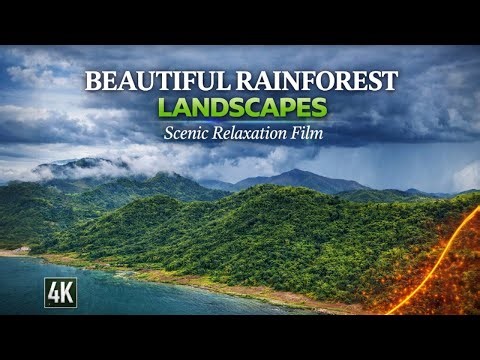 Heavenly Green Nature | Cinematic Forest, Mountains & Ocean Aerial Views | Relaxing Nature Video