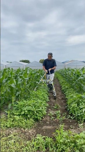 「真ん中は中耕、マルチ際は転がして除草剤散布」 畝間の除草剤散布器 トウモロコシ #アジャスタブルスプレーヤ #除草