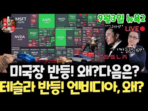 US stock market/Dead cat bounce? Tesla rebounds! Why? Salesforce, HPE earnings! Nvidia? Google, A...