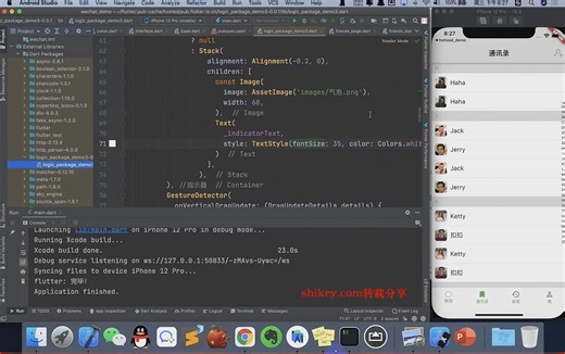 iOS Flutter 进阶 - 15 插件开发、热重载