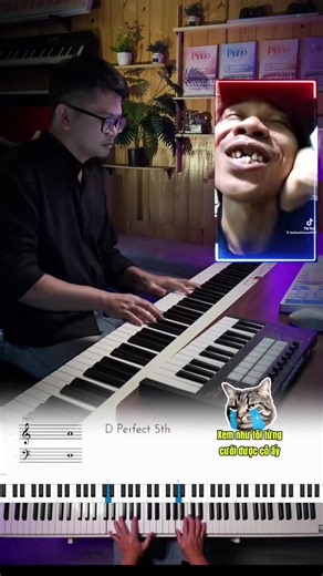 Alo alo #caothupianodemhat #chillproduction #demdanchonguoila