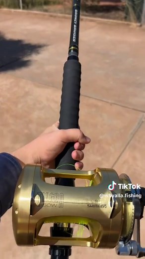 Exploring Shimano Tiagra 50W Fishing Reel