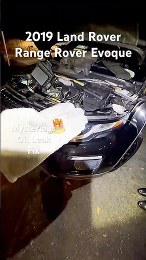 2019 Land Rover Range Rover Evoque Mysterious Oil Leak Fix