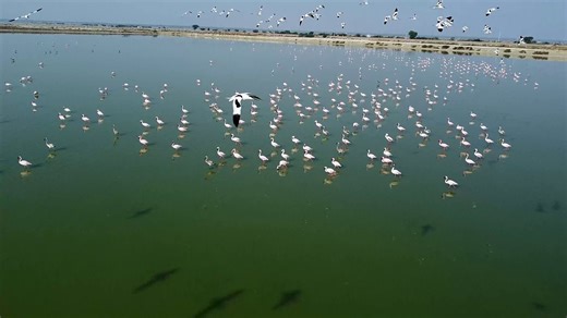 Lake, India, Rajasthan, Jaipur