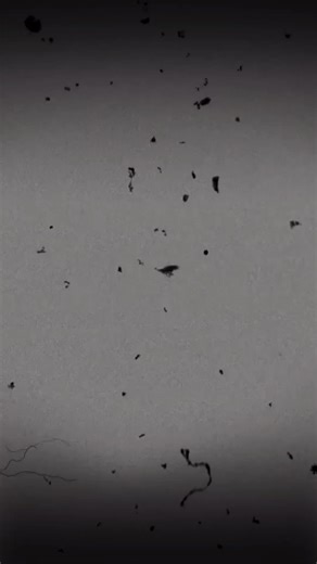 OUT TOMORROW! Have you pre-saved yet? #newmusicfriday #discovernewmusic #vintagevibes #funky