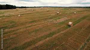 Haystack on field, drone view. Hay bales from grass. Forage for beef and dairy cattle, sheep and horses. Round Hay Bale. Farmers Harvest silage season. Hay in rolls after round baler.