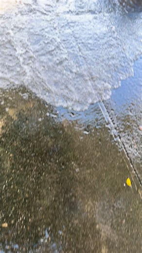 Danny Rodriguez on Reels