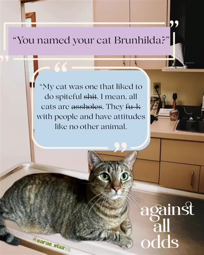 Ember Falls: A Romance Rekindled with Cats and Coffee