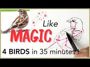 Discover the SECRET to Drawing Birds with Simple Stick Figures
