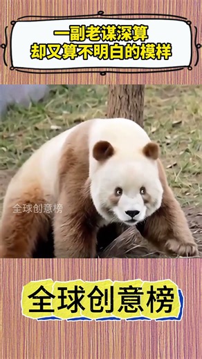 一副老謀深算卻又算不明白的模樣#shorts #fyp #viral #Subscribe #Trending #youtube #cosplay #star #搞笑