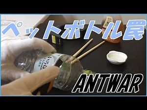 蟻戦争＃15 アリ捕獲大作戦編～ strategy of ant capture～