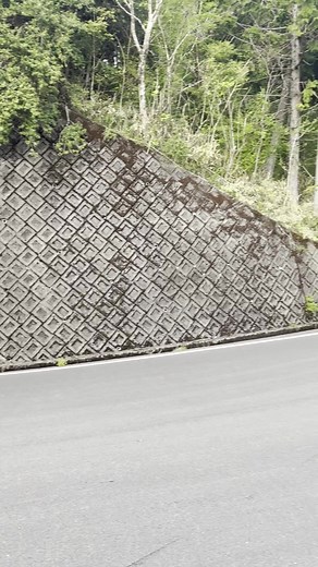 原付で走るYamaha YZF-R25？見た目は大型でも原付解説