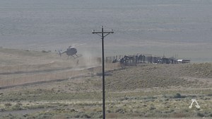 2.3K views · 279 reactions | We’re still on the ground at the ongoing operations in Nevada. Yesterday in the North there were approximately 10 horses captured including a small foal who was struggling to keep up. There have been 7 foals deaths so far. https://americanwildhorsecampaign.org/media/roundup-report-antelope-complex-north-july-2023 | American Wild Horse Conservation | Facebook