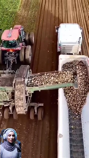 This Machine Harvests Tons of Crops in Seconds | Smart Farming Technology