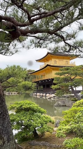 1K reactions · 242 shares | Ultimate 4-Day Kyoto Itinerary  | Wander in Japan | Facebook