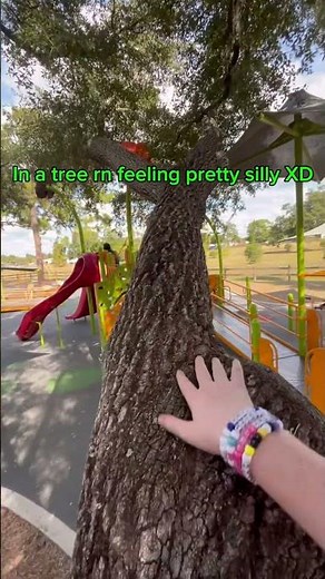 I was at a park XD #park #tree #Alive #nature #backstab
