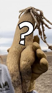 121K views · 5.7K reactions | Say Hello To My New Friend!  | Laura Farms | Facebook