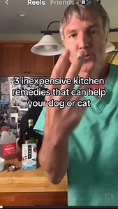 This isn’t personal, it’s just the facts. Coconut oil can moisturize skin. That part is true. But claims that it treats bad breath, reduces seizures, that turmeric powder meaningfully helps arthritis, or that parsley is a safe diuretic for dogs and cats are not supported by good, veterinary evidence. This is how misinformation quietly causes harm. When pet parents believe home remedies are “doing the job,” pets may miss timely diagnostics, proven treatments, or medical intervention they actually