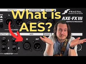 What Does the AES Port Do?