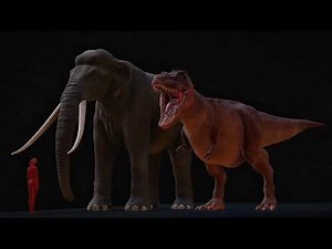 Tyrannosaurus Rex vs Palaeoloxodon Namadicus (biggest elephant ever) size comparison