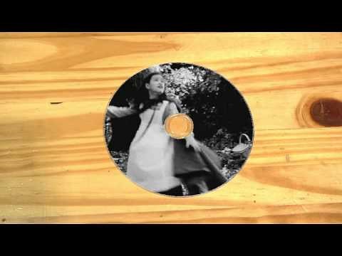 What is a Data DVD vs a Video DVD?