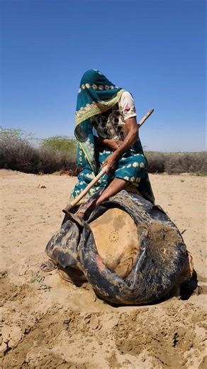 طريقة فريدة من نوعها تستخدمها النساء في الصحراء لتهدئة الجمل بالخشب!