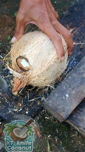 Do you know this coconut opener?