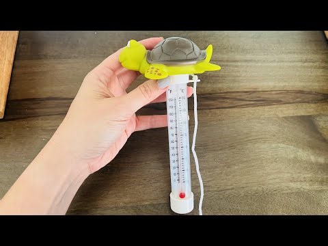 Floating Pool Thermometer | Cute Turtle Design + Accurate Water Temps?