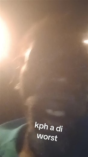 SLICE BREAD (@slicebread5o)’s videos with original sound - SLICE BREAD