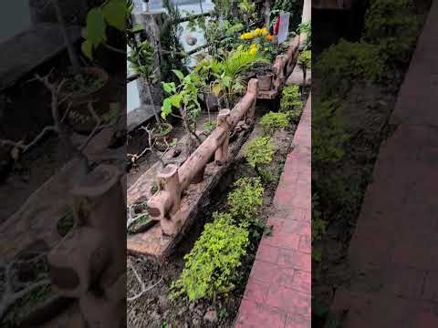 konnagar too chilly this year yet Beautiful