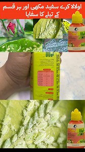 2K views · 55 reactions | Ulala insecticide for whitefly, aphids and sucking insects | flonicamid japanese insecticide | ICI LCI | Kissan Ghar | just visit our website for latest price details and for orders www.kissanghar.pk free delivery | #kisanghar #kissanghar #lci #ici #ulala #insecticide #flonicamid #whitefly #aphids #suckinginsects #crops #plants | Kissan Ghar | Facebook