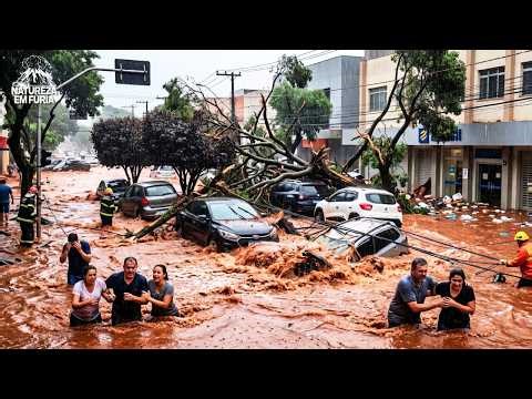 Chaos in Ribeirão Preto (SP): Storm knocks down trees, causes flooding and paralyzes the city.