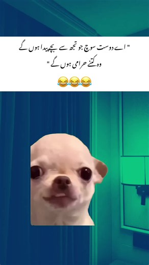 Bad Day meme: quick laugh and self-respect moments
