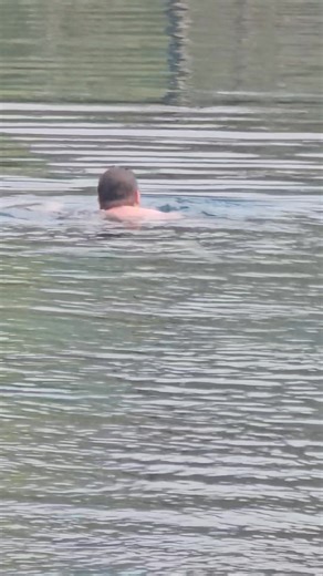 Can't get him to swim all summer | Shannon Ireland