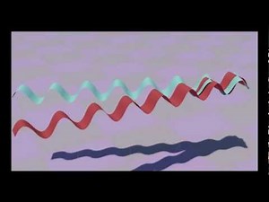 The Double Slit Experiment Animation 3ds max