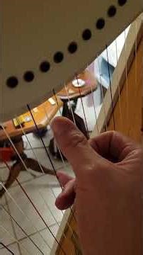 how to do directional change (She'll example)