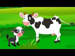 Our good cow | Greek kids songs | Koperti