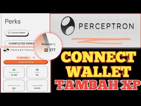 YEAY...Connect Wallet | Tambah XP Perceptron Network (blockmesh)🐉
