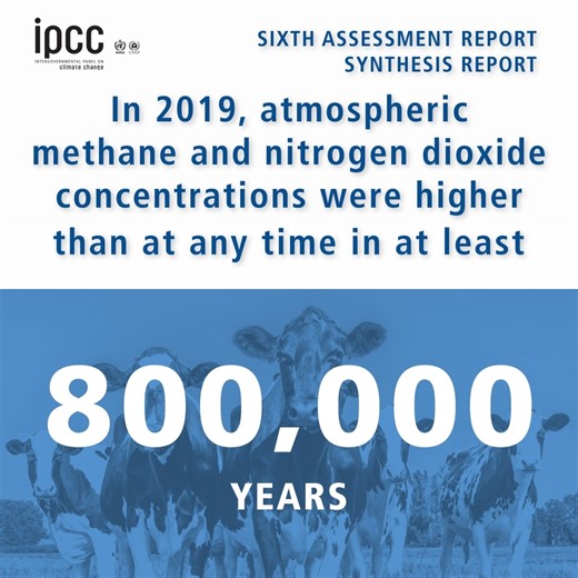1.3K views · 80 reactions | The Synthesis Report is out now!  https://youtu.be/bulhsb4IZFQ There are multiple, feasible and effective options to reduce greenhouse gas emissions and adapt to human-caused climate change, and they are available now, said scientists in the latest Intergovernmental Panel on Climate Change (IPCC) report. Explore the key findings  https://bit.ly/SRYRpt23 | IPCC | Facebook