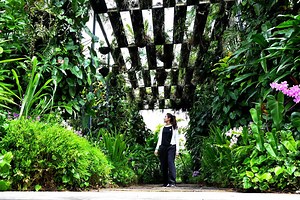 16 projects get NParks certification for landscaping efforts to green Singapore