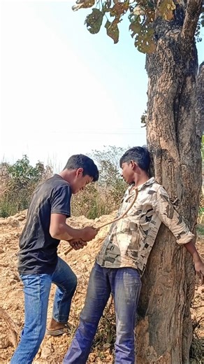 Yaar Tera Khalnayak🫶👈 || Lyrical Video | RohitSardhana | Harender Nagar || New BadmashiSong vital