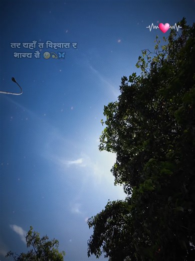 Captivating Nature Scenes: A Journey Through Sadness