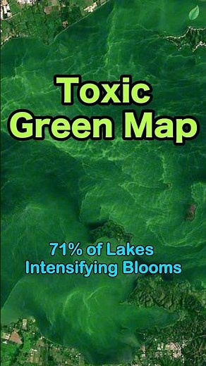 Toxic Green Map: 71% of Lakes Intensifying Blooms #AlgalBlooms #FreshwaterEcosystems #ClimateChange