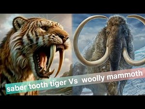 woolly mammoth vs saber tooth tiger : Epic Prehistoric Battle! || ‪@NaturesEye11‬