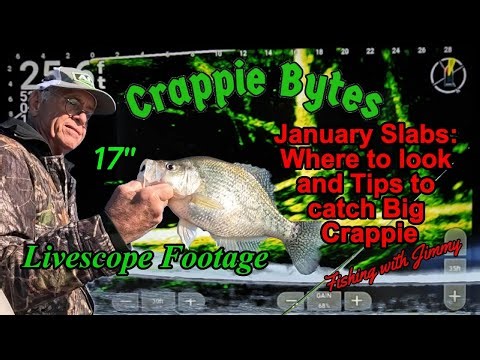 January Slabs, Where to look and tips to catch Big Crappie #crappiefishing #livescope #wintercrappie