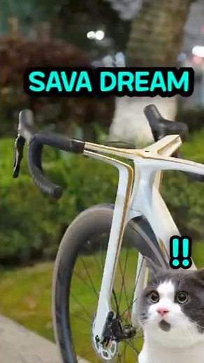 The Road Bike Born in a Dream 🚀 Dream Maker
