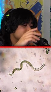 126K views · 3.1K reactions | Parasites #jumpersjump #viralreelschallenge #adam #painting #squidgame #podcast #huge #god #vi #ghost | jumpers jumpy Podcast fantastic | Facebook