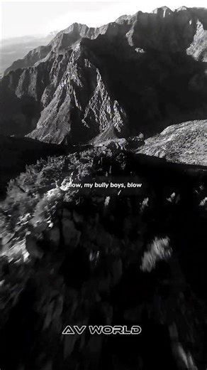 wellerman - nathan evans|lyrics | English song | #lyrics video | #tredingsong #shortvideo